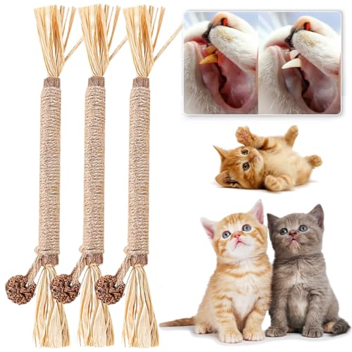 Qosigote Natural Silvervine Stick for Cats, Catnip Chew Sticks – Nunapets Cat Chew Toy – Durable and Interactive Cat Toy (A,3 Pcs) von Qosigote