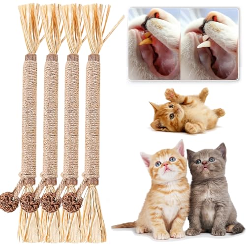 Qosigote Natural Silvervine Stick for Cats, Catnip Chew Sticks – Nunapets Cat Chew Toy – Durable and Interactive Cat Toy (A,4 Pcs) von Qosigote