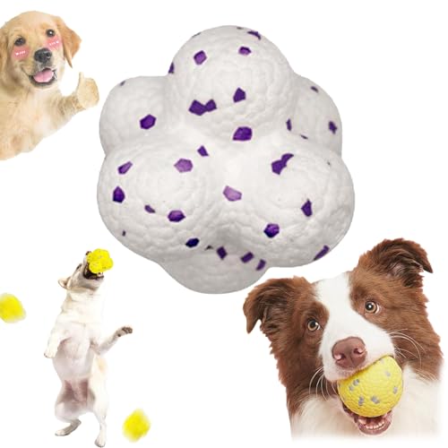 Qosigote Pfotenstern Kauzauber Ball, Kauzauber Ball Für Hunde, Pfotenstern Magic Ball,Hundespielzeug Ball, Hunde Ball Für Große, Mittelgroße, Kleine Hunde (D) von Qosigote