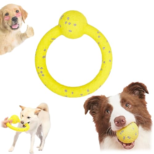 Qosigote Pfotenstern Kauzauber Ball, Kauzauber Ball Für Hunde, Pfotenstern Magic Ball,Hundespielzeug Ball, Hunde Ball Für Große, Mittelgroße, Kleine Hunde (F) von Qosigote