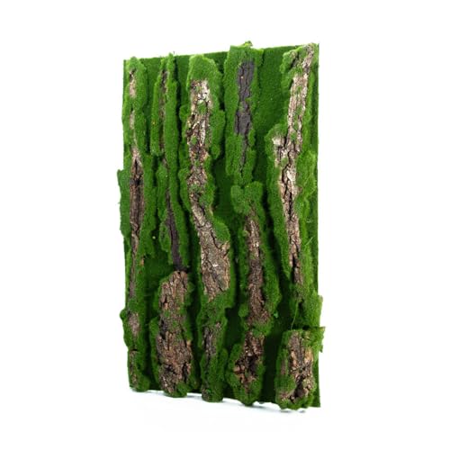 Qsvbeeqj Natural Bark Backdrop Board Für Terrarien Und Reptilien Sichere Und Schimmelbeständige Lebensräume Hintergrund Für Amphibien von Qsvbeeqj