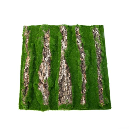 Qsvbeeqj Natural Bark Backdrop Board Für Terrarien Und Reptilien Sichere Und Schimmelbeständige Lebensräume Hintergrund Für Amphibien von Qsvbeeqj