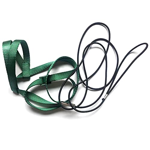 Verstellbares Anti-Biss-Trainingsseil für Papageien, Outdoor-Aktivitäten, fliegende Traktionsgurte, Band, Vogelgeschirr, Leine, Zubehör, Haustierzubehör für Welpen, Strohseil, handgewebtes Vogelnest Verstellbares Anti-Biss-Trainingsseil für Papageien, Outdoor-Aktivitäten, fliegende Traktionsgurte, Band, Vogelgeschirr, Leine, Zubehör, Haustierzubehör für Welpen, Strohseil, handgewebtes Vogelnest von Qsvbeeqj