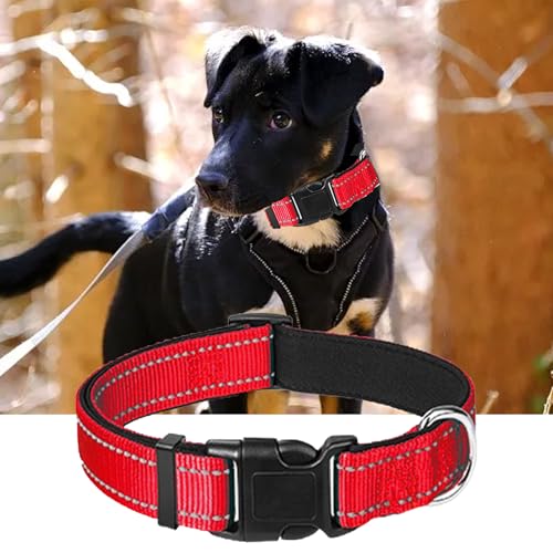 Reflektierendes Nylon-Hundehalsband, verstellbar, klassisches Hundehalsband für kleine Hunde, Schnalle, reflektierend, Größe S mit Schnalle, strapazierfähig, atmungsaktiv, Rot, 1 Stück von QttvbTna