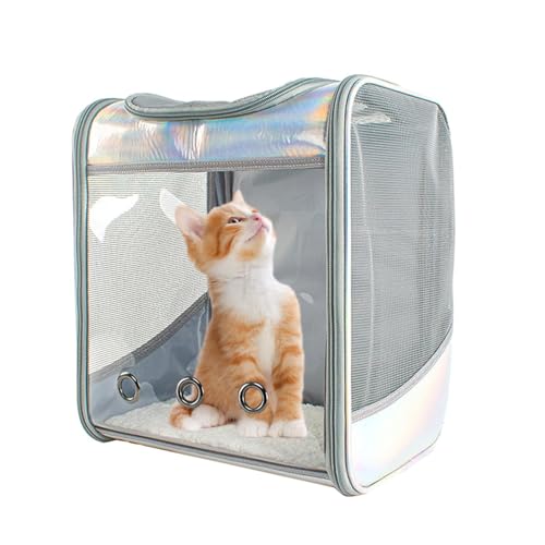 Rucksack für Katzen, Atmungsaktiv Transparent Faltbar Haustier Tragetasche Katze Hund Rucksack Kleine Hund Reise Träger für Wandern Reisen Camping von Quaeetyu