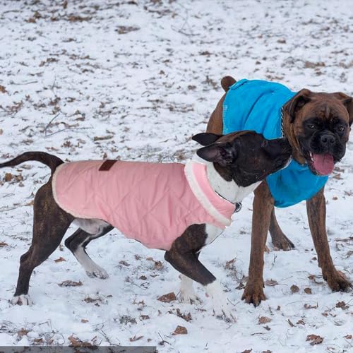 Warmer Hundemantel, wasserdichte Hundejacke, Wintermantel mit D-Ring-Schnalle, verstellbarer Rollkragen, winddicht, für kaltes Wetter, reflektierende Hunde-Fleecejacke, Weste, Pullover für kleine, von Qubccum