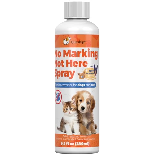 Qucship Not Here Hundespray – Dog Stay Away Solution – Effektive Trainingshilfe, um das Pinkeln im Innenbereich zu stoppen, für ein glücklicheres Zuhause, 237 ml von Qucship