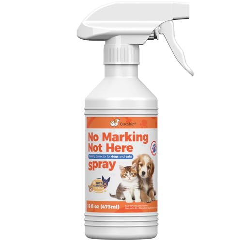 Qucship Halten Sie Ihr Zuhause organisiert mit Not Here Hundespray, 473 ml von Qucship