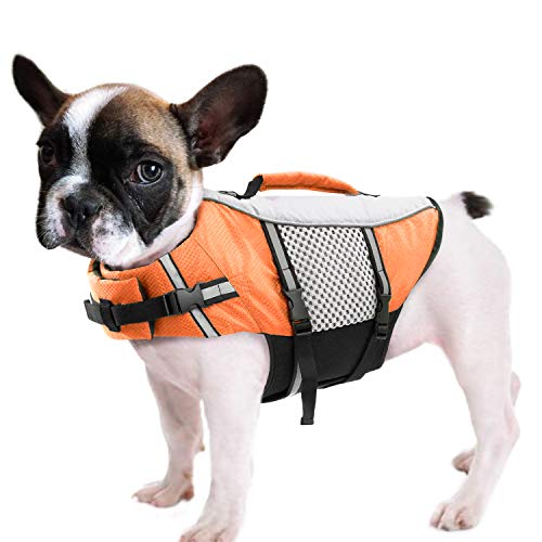 Queenmore Hunde Schwimmweste, Rettungsweste, Schwimmweste Hund kleine große, Rettungsweste für Kajak, Bootfahren, Schwimmweste französische Bulldogge, Dackel (Orange, L) von Queenmore