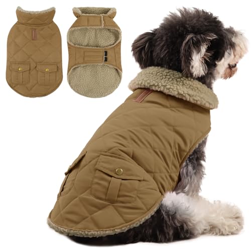Queenmore Hundejacke Kleine Hunde Hundemantel Winter Warme Wintermantel Hund Wasserdicht Quilten Hundebekleidung Hundepullover Für Dackel Chihuahua Pudel Französische Bulldogge Beagle, Braun, S Queenmore Hundejacke Kleine Hunde Hundemantel Winter Warme Wintermantel Hund Wasserdicht Quilten Hundebekleidung Hundepullover Für Dackel Chihuahua Pudel Französische Bulldogge Beagle, Braun, S von Queenmore