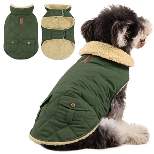 Queenmore Hundemantel Für Kleine Hunde Warme Wintermantel Hund Fleece Hundejacke Wasserdicht Quilten Hundebekleidung Winter Hundepullover Für Dackel Chihuahua Pudel Bulldogge Beagle, Grün, XS von Queenmore