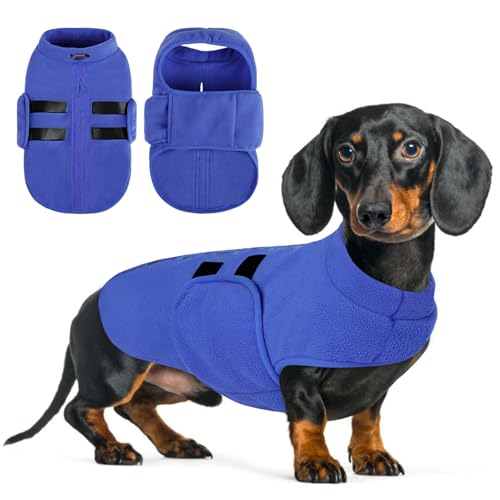 Queenmore Hundemantel Winter Fleece Warm Wintermantel Hund, Hundejacke Hundeweste Kleine Hunde, Hundepullover Dackel, Chihuahua, Bulldog, Greyhound, Blau, L von Queenmore