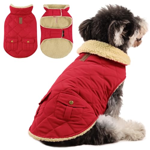 Queenmore Hundemantel Winter Kleine Hunde Warme Wintermantel Hund Fleece Hundejacke Wasserdicht Quilten Hundebekleidung Hundepullover Für Dackel Chihuahua Pudel Französische Bulldogge Beagle, Rot, S von Queenmore