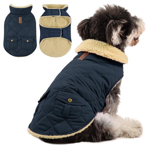 Queenmore Wintermantel Hund Wasserdicht Hundemantel Für Kleine Hunde Warme Hundejacke Winter Quilten Hundebekleidung Winter Hundepullover Für Dackel Chihuahua Pudel Bulldogge Beagle, Blau, XS von Queenmore