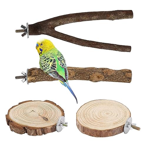 4 Stück Sitzstangen für Vogelkäfige, Vogel Spielzeug Set, Vögel Ständer Spielzeug, Vogelstange aus Holz, Vogelkäfig Zubehör für Wellensittich Kanarienvogel Nymphensittich Agaporniden von Queerelele