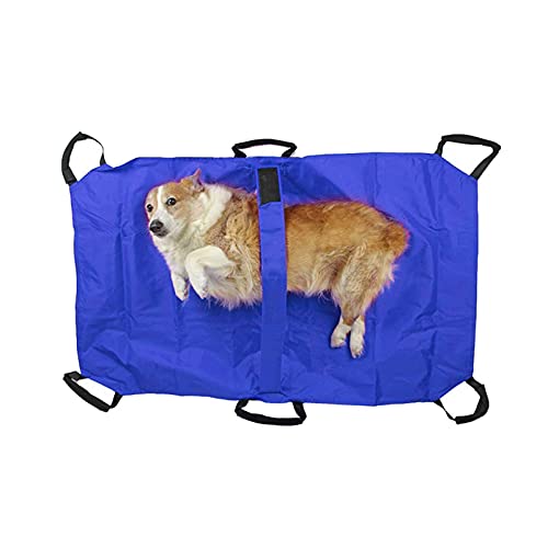 Haustier Hund Tiertrage Trage Faltbare,Haustier Transport-Stretcher Emergency Animal Carrier Pet Stretcher Anti-bite Folded Tragbare,für Hunde und Andere, Notfalltrage Veterinär von Queeucaer