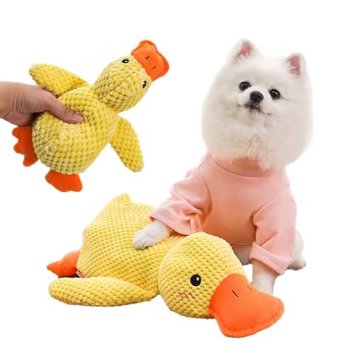 Quesardens Hundespielzeug Ente, Anti-Stress-Ente für Hunde, Quacksalber-Ente-Hundespielzeug, quietschendes Plüschspielzeug(Medium) von Quesardens