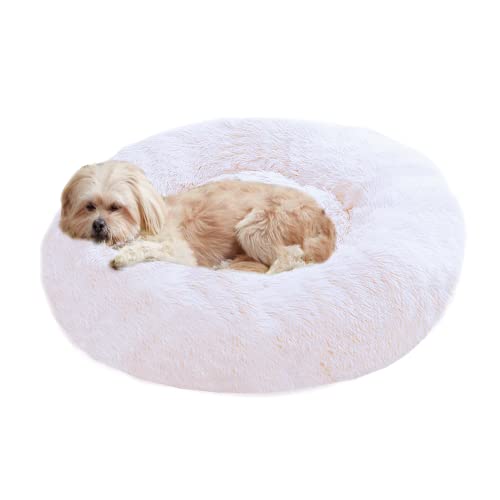 Queta Deluxe-Haustierbett,für Katzen und kleine bis mittelgroße Hunde,Leicht zu reinigen,Bett für Haustiere in Doughnut-Form 60cm Weiß von Queta