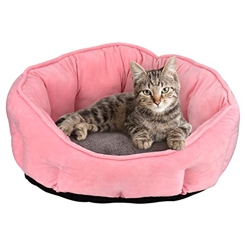 Queta Hundebett, Katzenbett Hundesofa Hundekissen Plüsch Weich Haustierbett für klein Katzen und Hunde, 46 * 46 * 23cm (Rosa) von Queta