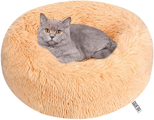 Queta Katzenbett Schöne Tierbett, Klein Hund Bett Haustierbett Plüsch Weich Runden Katze Schlafen Bett (50cm, Hellbraun) von Queta