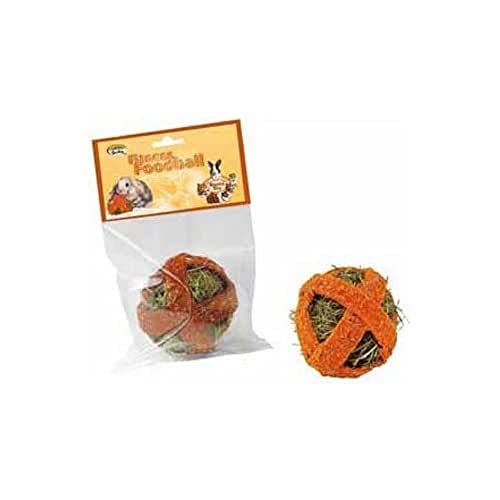 Quiko Fitness Foodball Karotte 100g - Snack und Spielspaß für alle Nager von Quiko