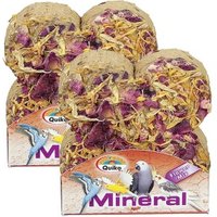 Quiko Mineral Flowermix Pickstein für Ziervögel mit Blüten und Getreide 2 Stück von Quiko