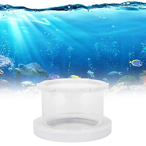 Qukaim Accories Protein Skimmer Accories Acryl Transparent Aquarium Fünf Krallen Lebensbaum Form Koralle SPS Button Frag Rack Base, 5 Loch, Protein Skimmer Erhöhung Accories für Aquarium von Qukaim