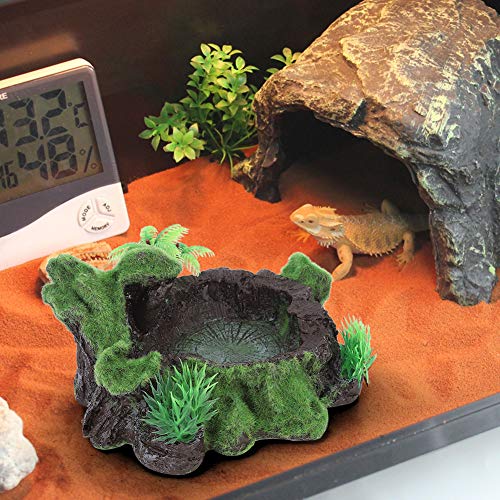 Qukaim Aquarium Eidechse Futternapf Harz Simulation Pflanzen Schildkröte Feeder Eidechse Futternapf für Fischtank, Aquarium Ornament, Wasser und Futter Feeder, 30,5 x 20,3 x 7,6 cm von Qukaim