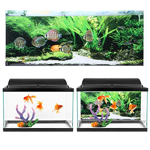 Qukaim Aquarium-Hintergrundposter, PVC, selbstklebend, Meeresboden, Aquarium-Dekoration, 122 x 50 cm von Qukaim