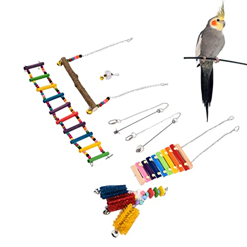 Qukaim Bird Xylophon Spielzeug Huhn Xylophon Schaukel und Gemüse Obst Halter Spielzeug für Huhn Henne Vogel, 6 Stück von Qukaim