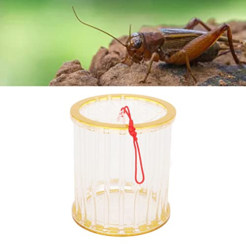 Qukaim Critter Bug Cage Circular Bug Cage Portable Acrylic Grasshopper Breeding Single Grid von Qukaim