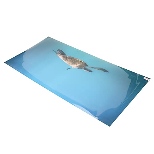 Qukaim Dekoratives Bild für Aquarium, Hintergrundposter aus PVC, selbstklebend, Baum im Meer, 61 x 30 cm, Aquarium-Dekoration von Qukaim