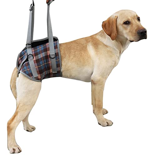 Qukaim Dog Assist Sling Hundegeschirr, professionell, verstellbar, atmungsaktiv, Hilfsgurt für behinderte, hoch ältere Hunde, blau kariert, Hinterbein, Größe L, 20-30 kg Kapazität von Qukaim