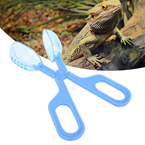 Qukaim Feedingand Cleaning Tool Reptile Feeding Clamp, Amphibien Terrarium Feeding Tool for Spider Cricket, Blue von Qukaim