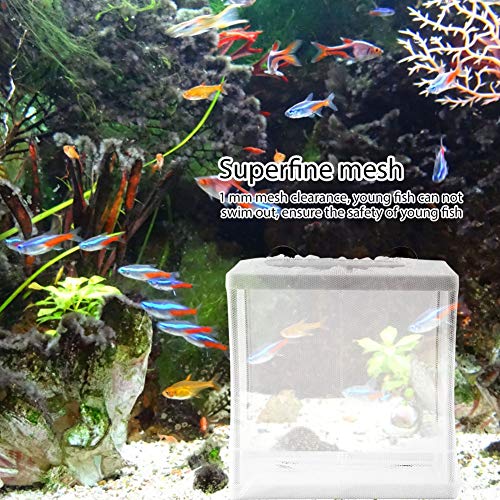 Qukaim Fish Breeder Multifunktionale Isolation Mesh Box, Fischzuchtnetz, Aquarium Fisch Tank Inkubator Züchter, Ideal für Fischzucht, Langlebiges Netz-Design, versch von Qukaim