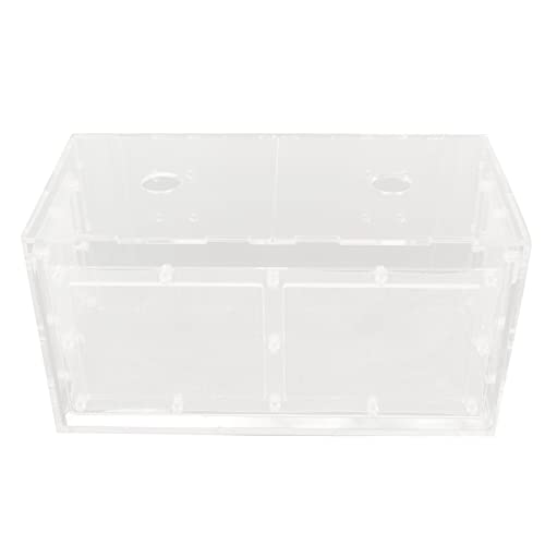 Qukaim Fish Tank Incubator Fish Breeding Isolation Box, Transparent Mesh Side Fish Tank Incubator for Small Fish, 23x11x12cm / 9.1x4.3x4.7in, Aquarium Hatchery Hatching Box von Qukaim