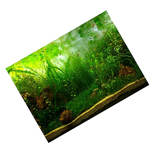 Qukaim Fish Tank Poster Wassergras Stil Aquarium Fisch Tank Hintergrund Poster PVC Kleber Dekor Papier 122 x 50 cm Fish Tank Dekoration Aquarium Dekor Papier von Qukaim