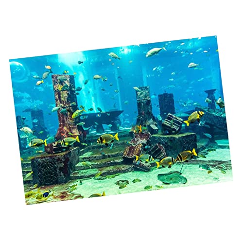 Qukaim Fish Tank Wanddekorationen Aquarium Hintergrund Unterwasser Poster Fish Tank Wanddekorationen Aufkleber 61x30cm Lebendiges Korallen-Design für dekorative Aquarien von Qukaim