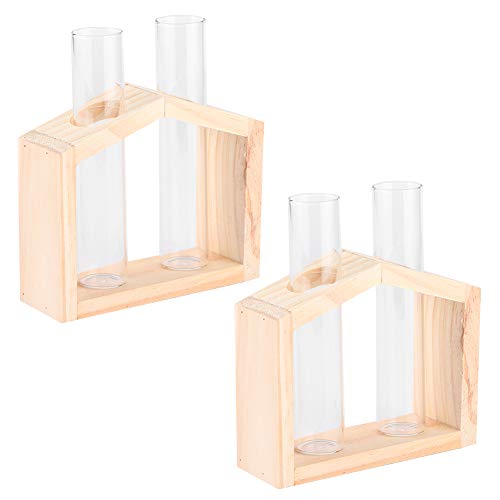 Qukaim Glas-Pflanzgefäß Doppelflasche Glas-Reagenzglasvase, Hydrokultur-Pflanzen-Terrarium, transparentes Glas-Pflanzgefäß für Hausgartendekoration, ideal für Hydrokulturpflanzen von Qukaim