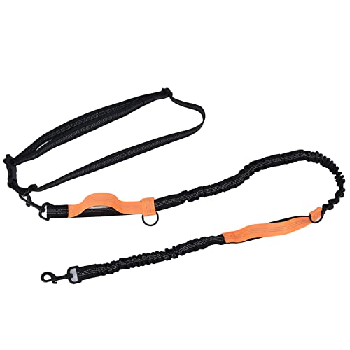 Qukaim Haustier-Leinen-Set, reflektierend, tragbar, verstellbar, leichte Aluminiumlegierung für Hunde, einziehbares Design, Orange, 4-teilig von Qukaim