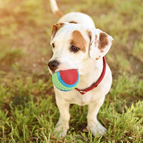 Qukaim Haustier Spielzeug Haustier Hunde Gummi Elastischer Ball Kauzähne Schleifen Training Spielzeug Interaktives Hund Apportierspielzeug für Welpen Sicher und Langlebig 6cm Durchmesser von Qukaim