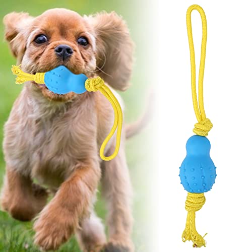 Qukaim Hund Kauseil Ball Latex Material Hund Elastische Seil Ball, Hund Kauen Training Spielzeug für Zahnreinigung, Blau, Langlebiges Kauwerkzeug für Hunde von Qukaim