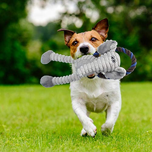 Qukaim Hund Sounding Toy Plüsch Hundespielzeug Zahnreinigung Schutz Kauen Beißen Interaktives Trainingsspielzeug für Hunde Elefant Kaninchen von Qukaim