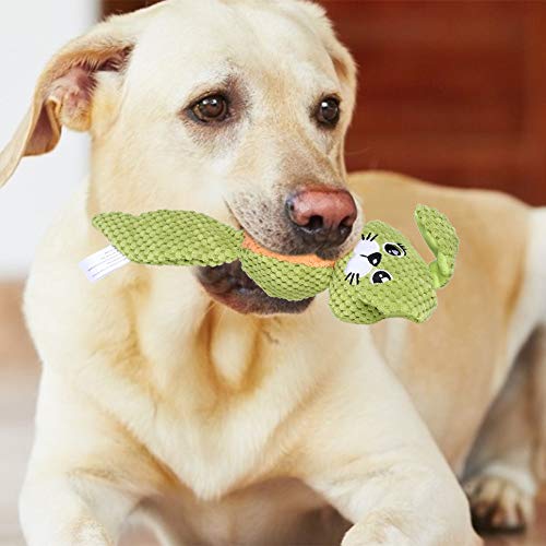Qukaim Hund Sounding Toy Plüsch Hundespielzeug für Zahnreinigung und Kauen, klingendes interaktives Trainingsspielzeug für HundeKaninchen von Qukaim