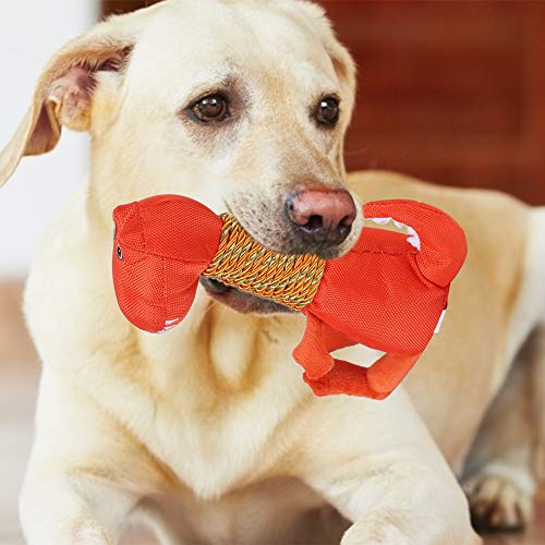 Qukaim Hund klingendes Spielzeug Weiches Plüsch Hundespielzeug Dinosaurier Form Zahnreinigung Kauspielzeug für Hunde Orange von Qukaim