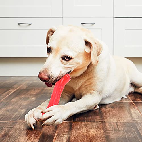 Qukaim Hunde Kaustab Haustier Hundespielzeug, Knochenförmiger Beißring Backenzahnstab, Kautrainingsstab, Rot, langlebiges Kauspielzeug für Hunde, ideal für Biss und Zahngesundheit, 15 cm lang von Qukaim