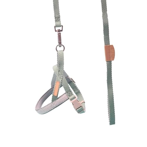 Qukaim Hundeleine, Trainingsleine, Zugseil für mittelgroße und große Hunde, Aquagrün, 2,0 cm, Brustumfang 30-45 cm von Qukaim