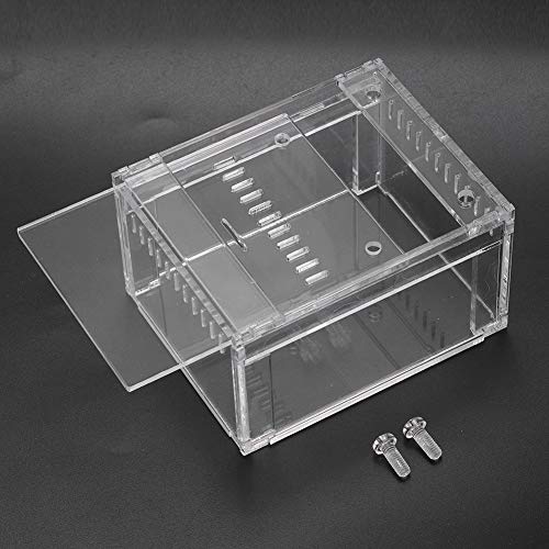 Qukaim Insektenterrarium Acryl Transparent Reptilien Insektentank Brutkasten für Schlangen und Schildkröten 30x20x15cm Klares Design Ideal für Terrarium Einrichtung von Qukaim