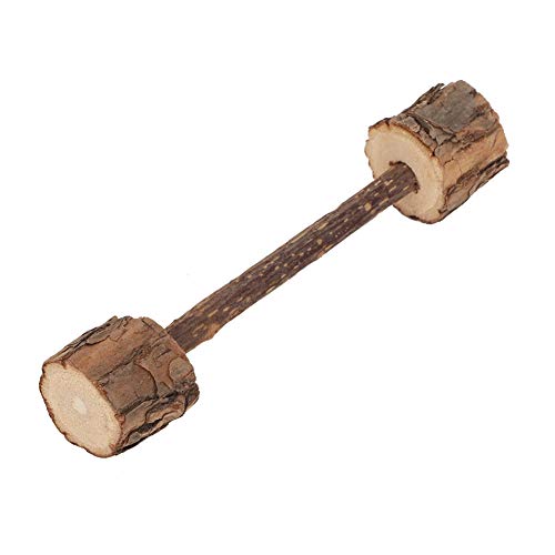 Qukaim Katzenspielzeug Katze Molar Stick, Natürliche Katzenminze Reinigung Zähne Spielzeug, Haustier Molar Snacks für Katzen, Interaktives Kauspielzeug, Sicher und Ungiftig, 15cm Lang von Qukaim