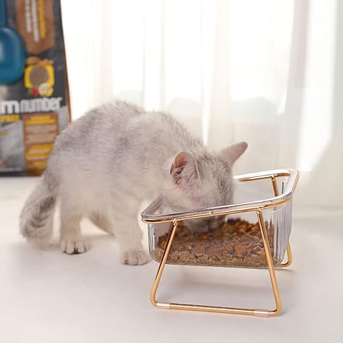 Qukaim Pet Feeding Supplies Erhöhter Katzenfutter-Wassernapf, transparent, schräg, erhöhter Futternapf für Katzen und Hunde, goldenes Eisen, Einzelnapf, 14,4 × 14,4 × 11 cm von Qukaim